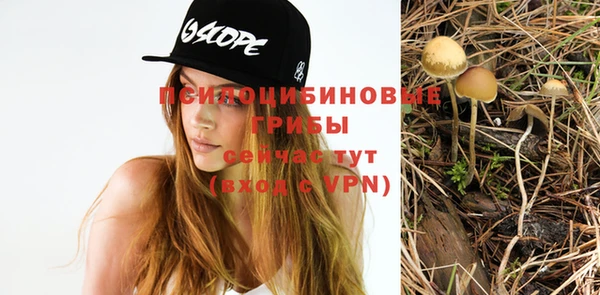 мескалин Абинск