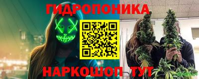 apvp Гагарин
