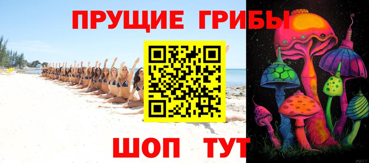 Владикавказ  Псилоцибиновые грибы мицелий  Вход с VPN 